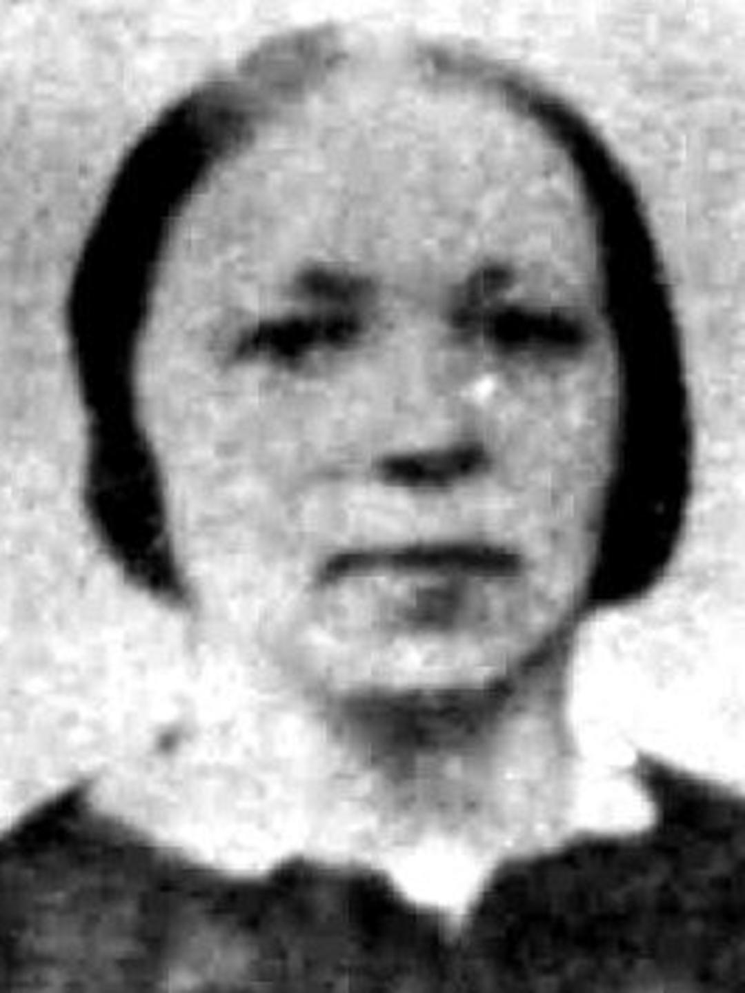 Agnes McDowell (1819 - 1878) Profile